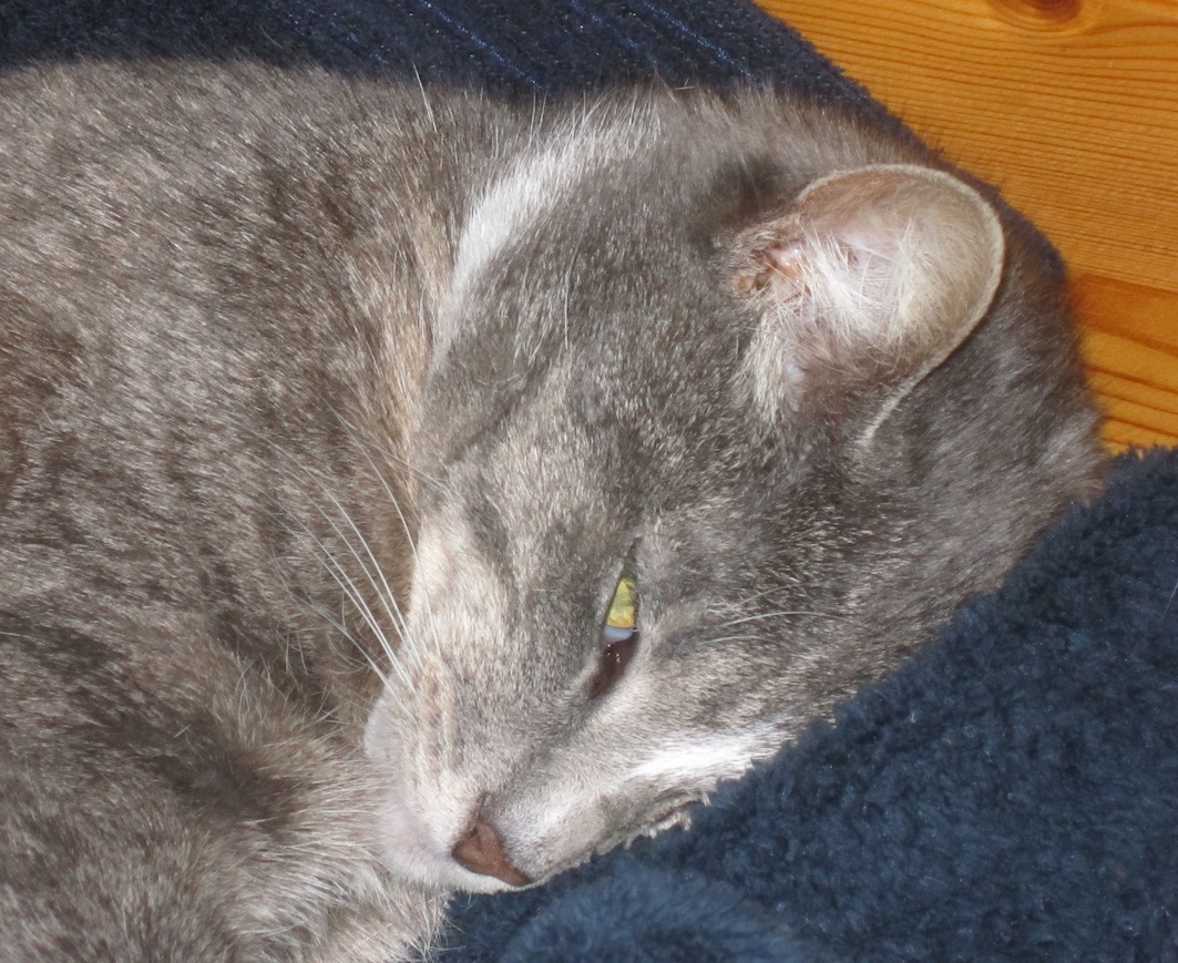trying to sleep