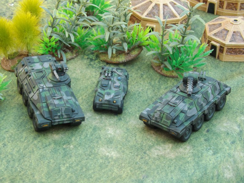 Black China Brigade Models